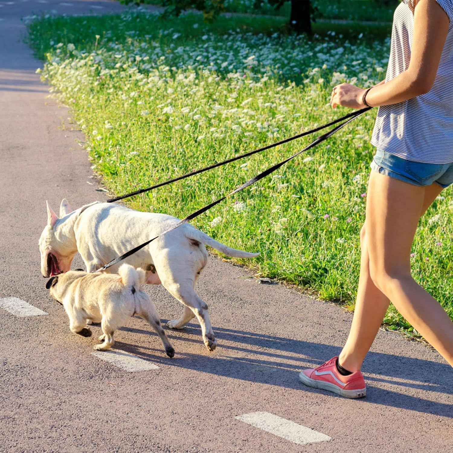 Dog Lead 3 Metres Adjustable with 2 Carabiners - Nylon Double Exercise Lead for Large, Medium, and Small Dogs - Black image number 5