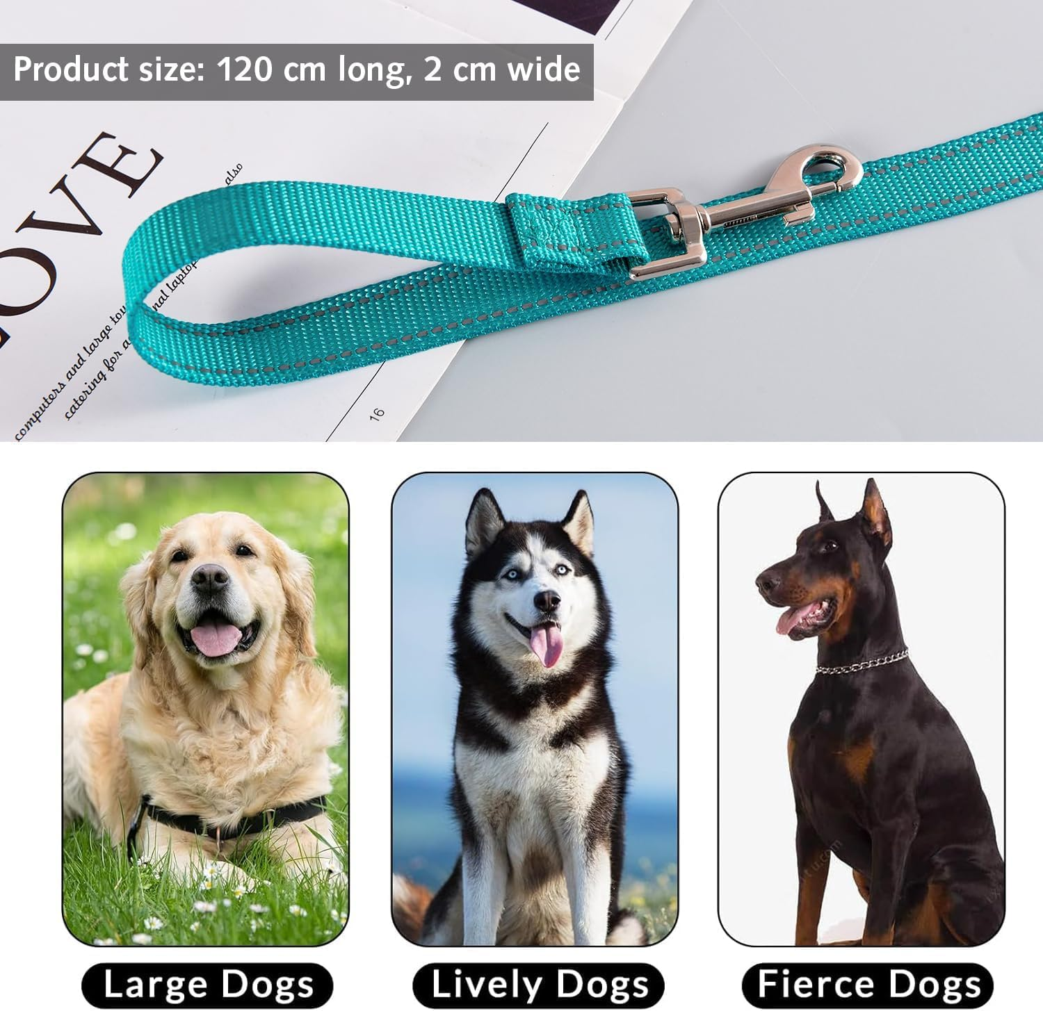 Padded Handle Dog Leash Double Sided Reflective Nylon Leash Training Leash for Small Medium Dogs image number 1