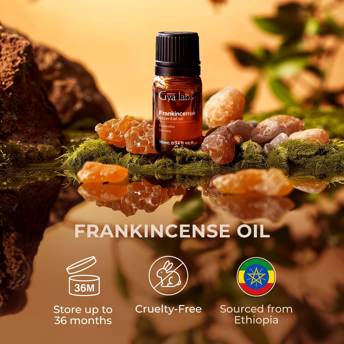 Gya Labs Frankincense Essential Oil - Frankincense Oil for Face, Skin, Body, Candle Making - Premium Grade for Wellness & Comfort - Woody, Balsamic & Calming (10Ml)