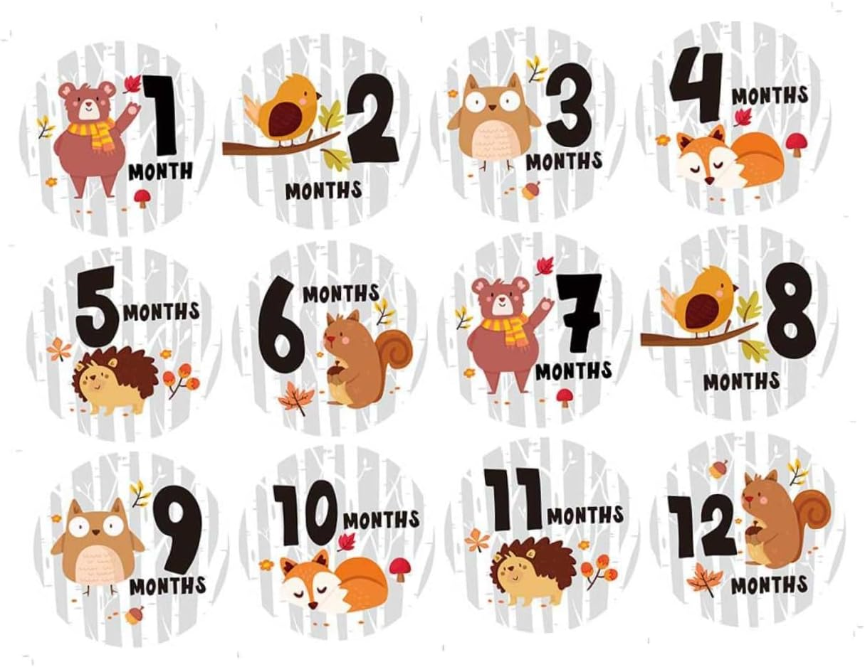 12Pcs Monthly Milestone Stickers for Newborns Self-Adhesive Stuff Gifts image number 6