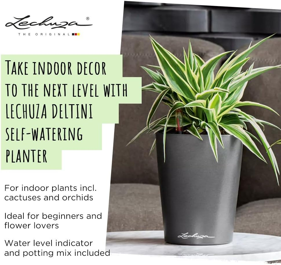 Lechuza Deltini Self-Watering Planter with Removable Planter Liner, High Gloss Scarlet Red image number 6