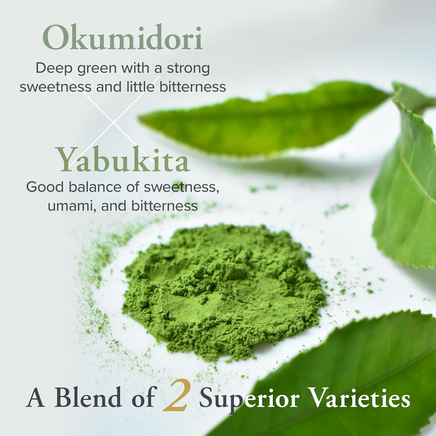 YAMASAN KYOTO UJI Barista Grade Matcha MATSUKAZE, for Lattes and Smoothies, Good Balance of Flavor and Aroma, Authentic Japanese Origin, Vegan, Sugar Free, Made in Uji, Kyoto, Japan 100G image number 1
