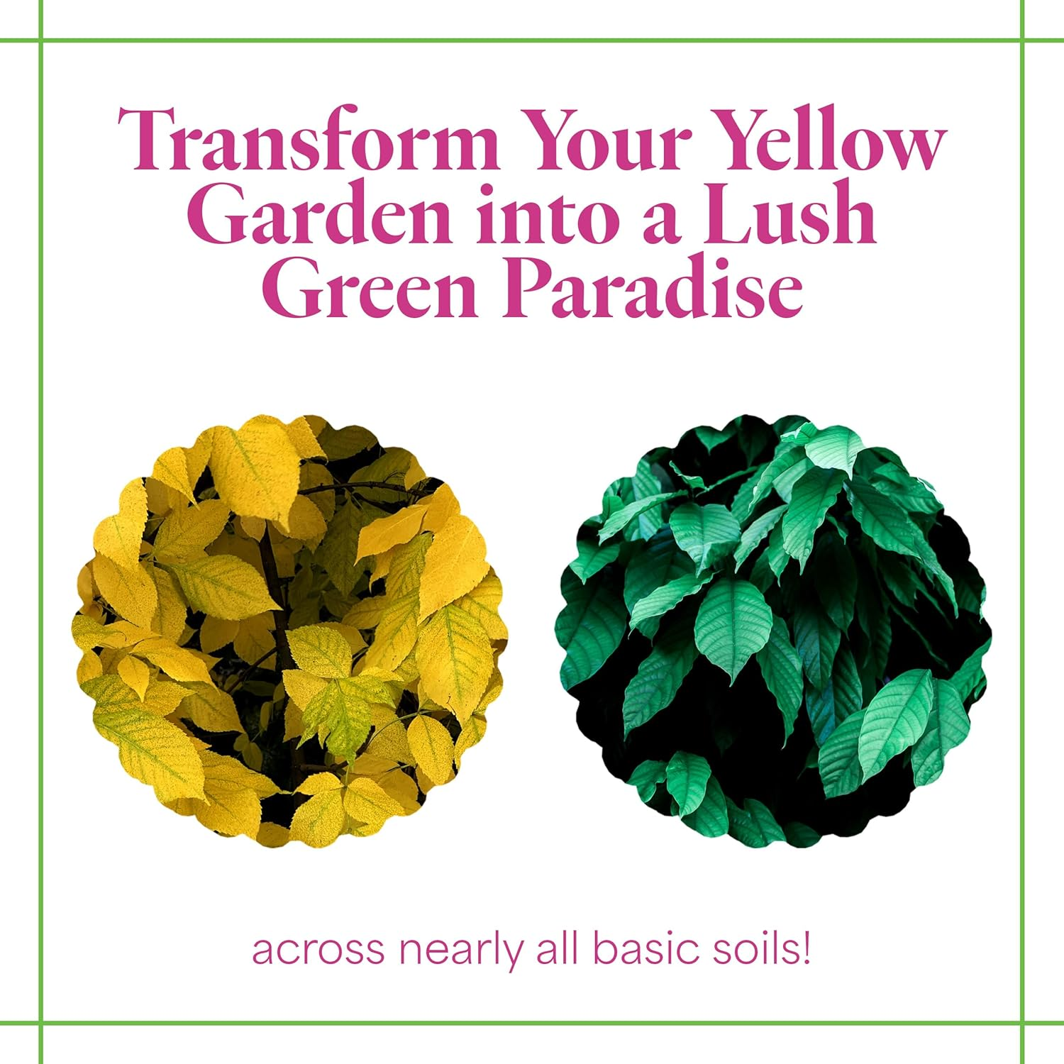 Grow More 0.2-0-0 EDDHA Iron Chelate for Greener Plants on Soils with Ph of 7 or above - 1Lb of Water Soluble Chelated 6% Iron for Plants image number 5