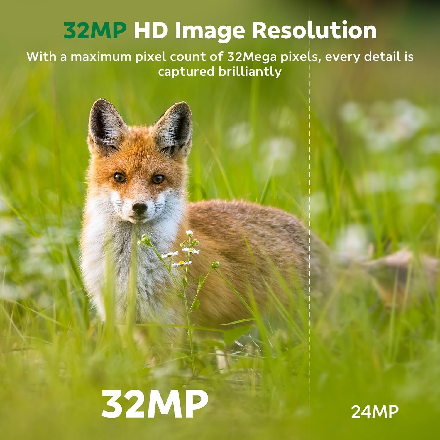 Trail Camera Wifi, 32MP 1080P Game Camera with Low Glow Night Vision, 0.1S Trigger Speed 130&deg; Wide-Angle Motion Activated IP66 Waterproof image number 4