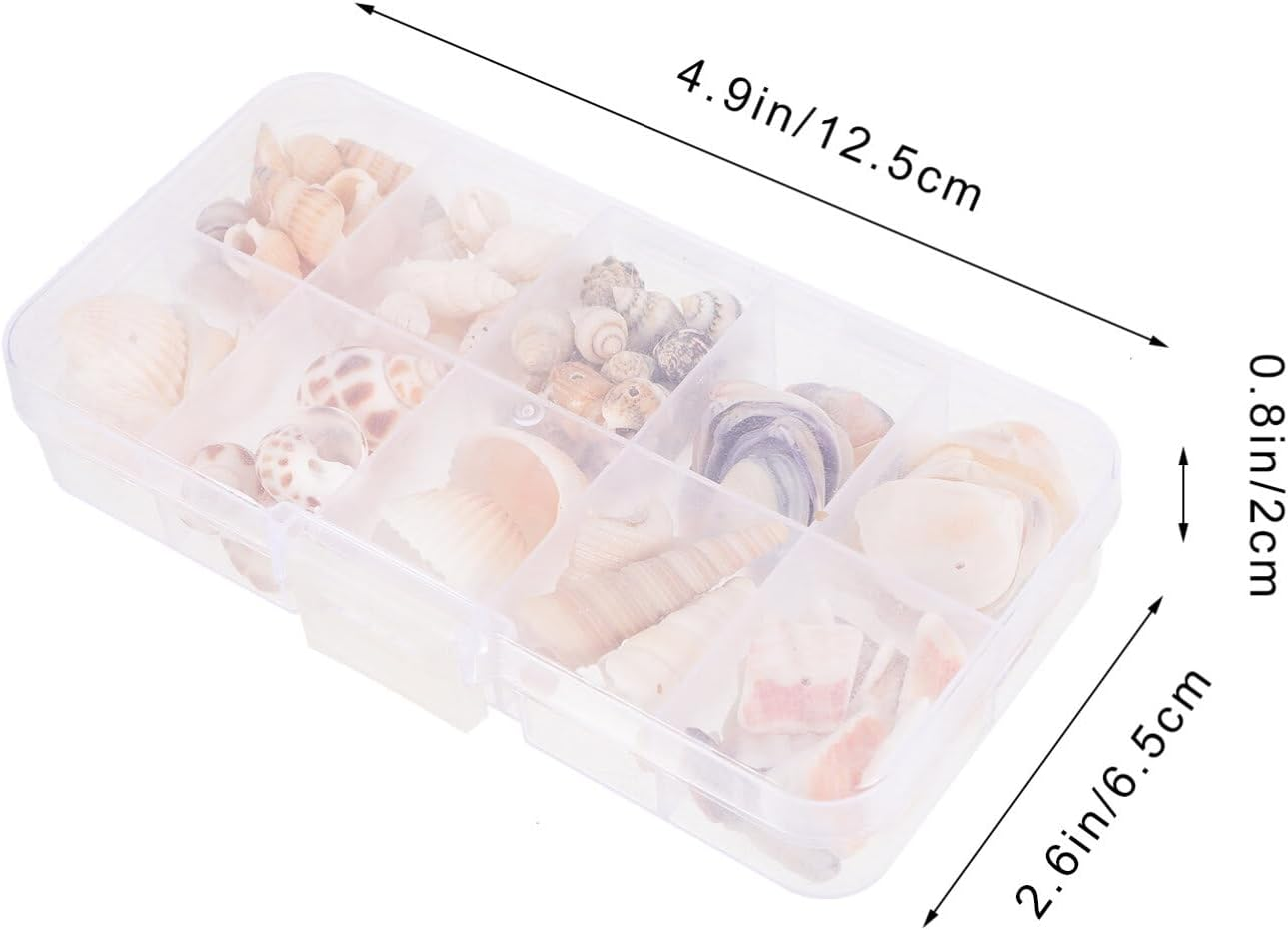 SOLUSTRE 1 Box Natural Tiny Shells Small Sea Shells Decorative Conch Miniature Seashells Decors for DIY Bottle Ornament Wall Art Beach Party Decor Fish Tank Vase Filler image number 4