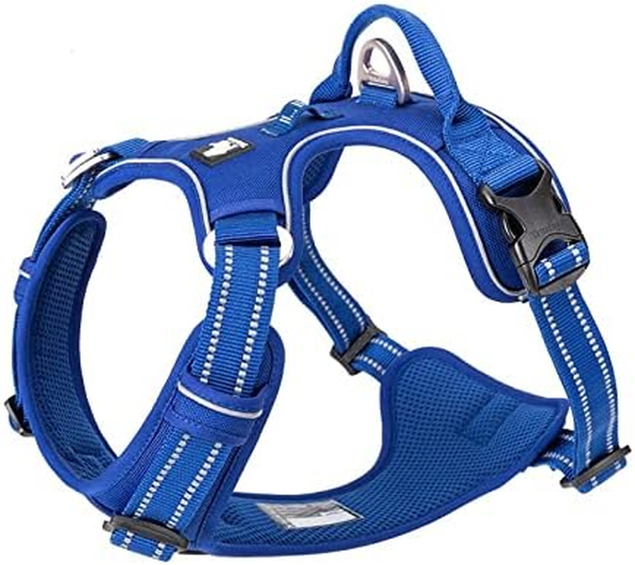 True Love No Pull Dog Harness, Medium, Royal Blue