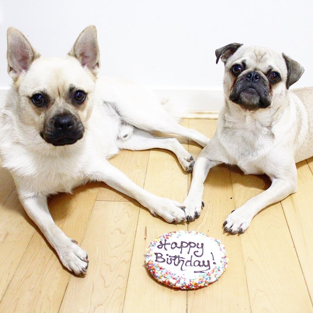 Huds and Toke Dog Birthday Cake Dog Treat, Yoghurt image number 1