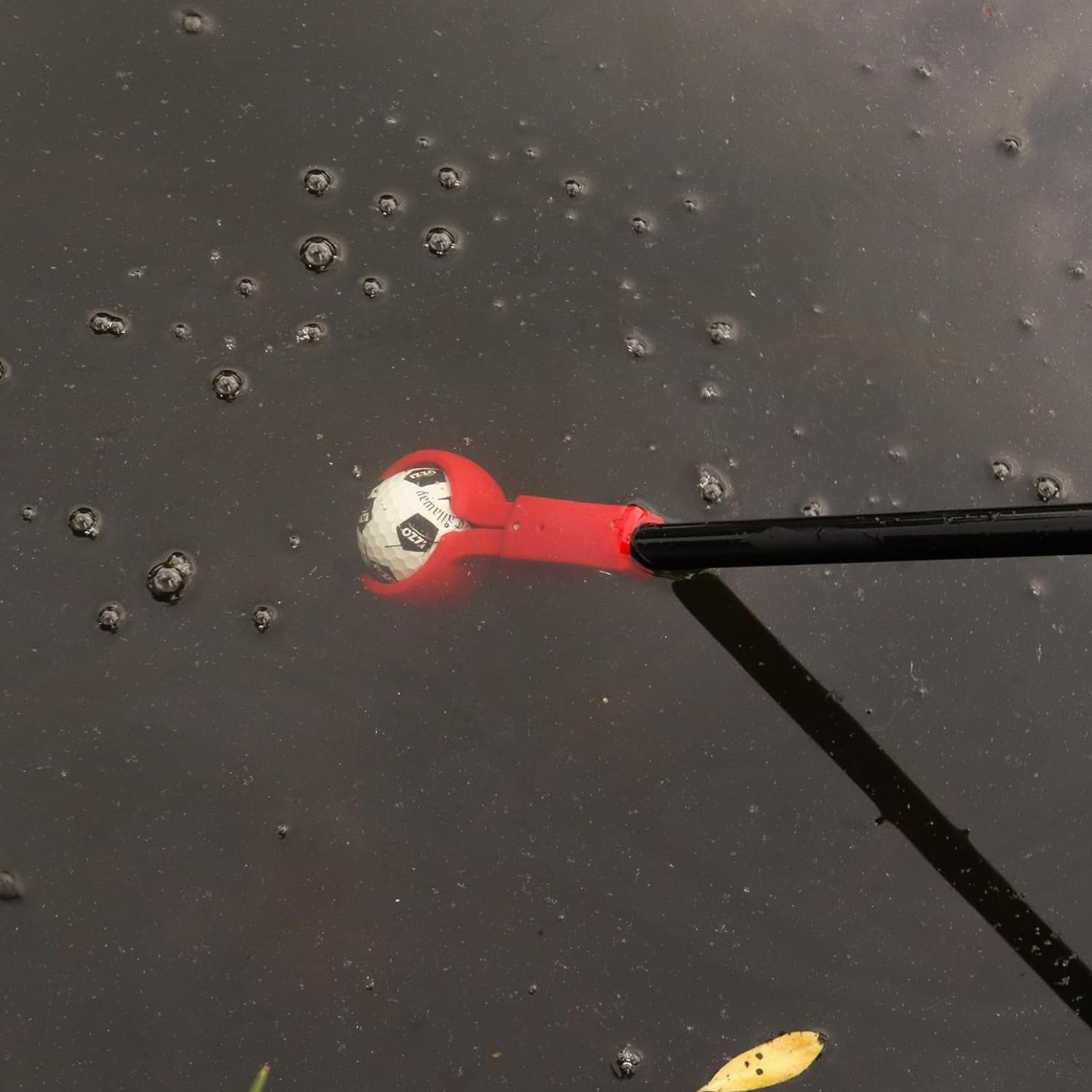 Izzo Izzo image number 6