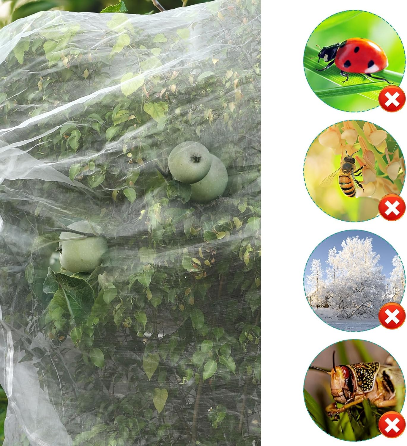 10Ftx10Ft Large Fruit Tree Netting Bags, Bird Netting for Fruit Trees Cicada Tree Netting for Fruits Tree Garden Vegetables Protection image number 1