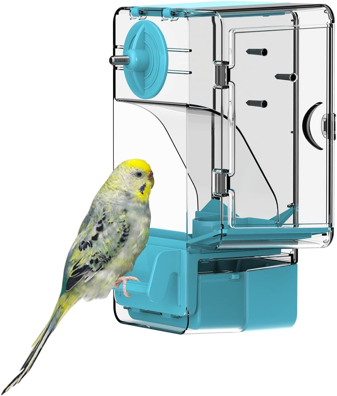 Automatic Bird Feeder, No Mess Bird Cage Feeder with Perch Multi-Functional Holder for Fruits Vegetables for Parakeet Canary Cockatiel Finch (Green)