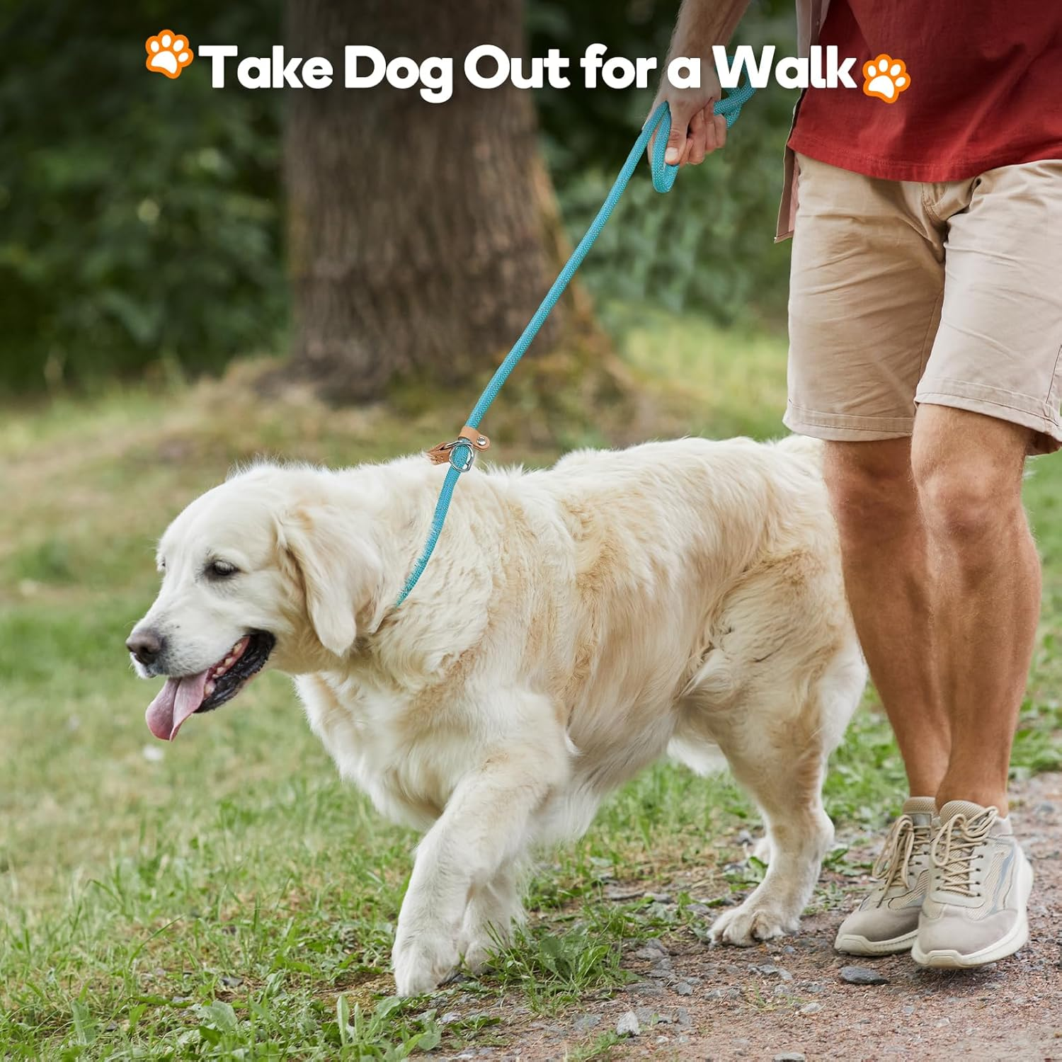 Grand Line Reflective Climbing Rope Slip Lead Pets Leash for Small, Medium, Large and Extra Heavy Dogs and Cats - 5 Ft Long image number 2