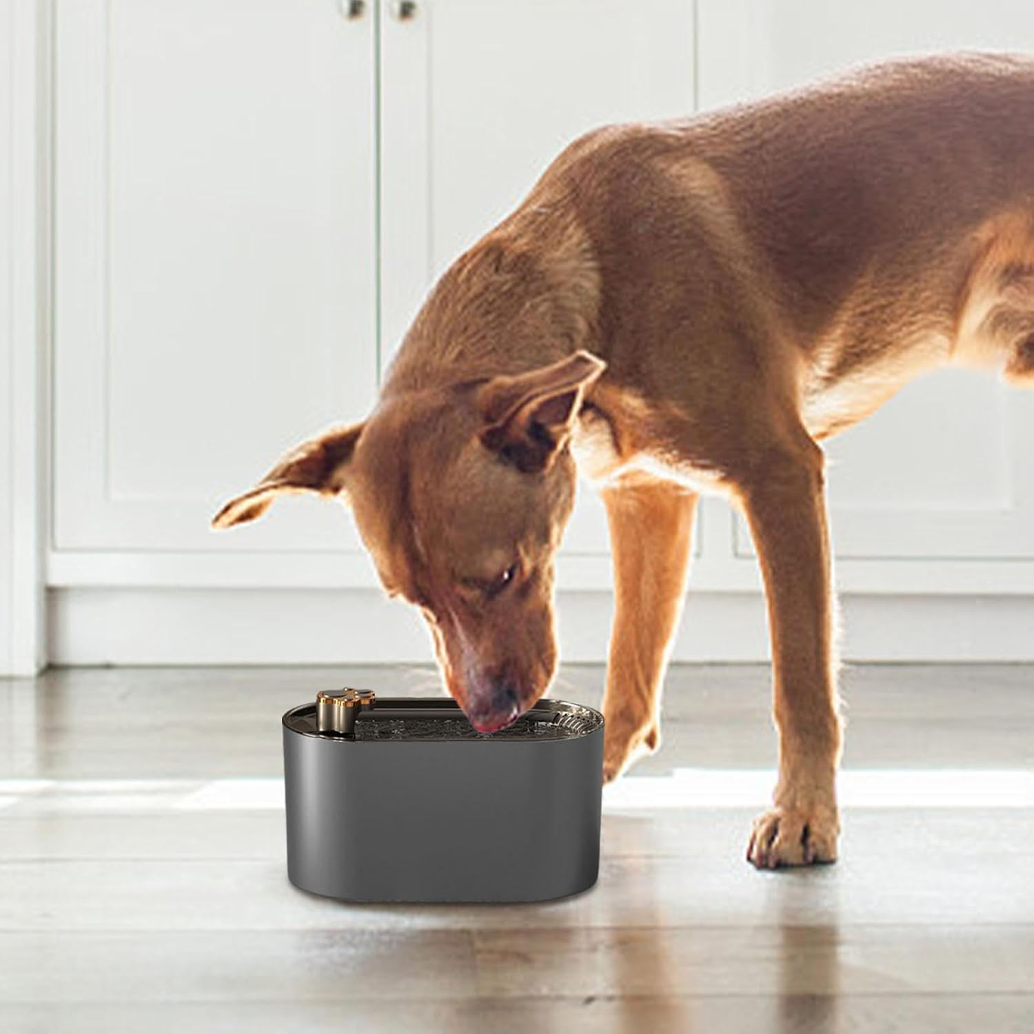 Pet Water Fountain,Dog Water Fountain Pet Water Dispenser | 3 Layers Filtration Dog Water Fountain, 3L Cat Drinking Fountains for Dogs, Pets, Cats image number 1