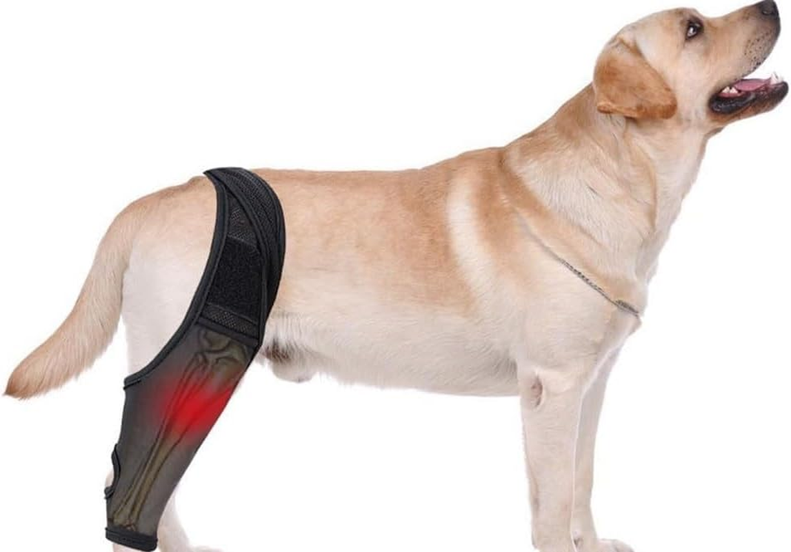 Dog Knee Brace for Torn ACL Hind Leg, Dog Leg Support Brace Breathable Dog Back Leg or Rear Leg Protector, Dog Leg Brace for Better Recovery Dog ACL Brace Hind Leg Adjustable (Black, XL) image number 6
