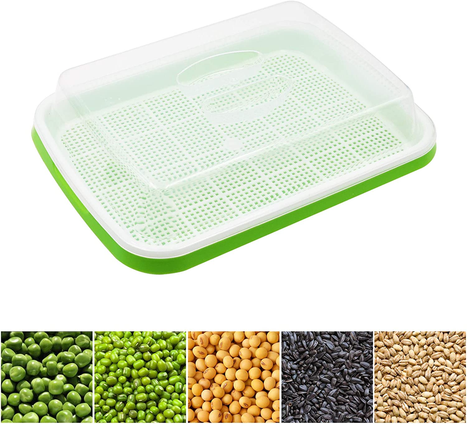 5 Layers Seed Sprouter Tray with Stainless Steel Shelf Soil-Free Healthy Wheatgrass Seeds Grower and Storage Trays for Garden Home Kitchen Office(5 Pack Seed Sprouter Trays with 5 Layers Shelf) image number 1