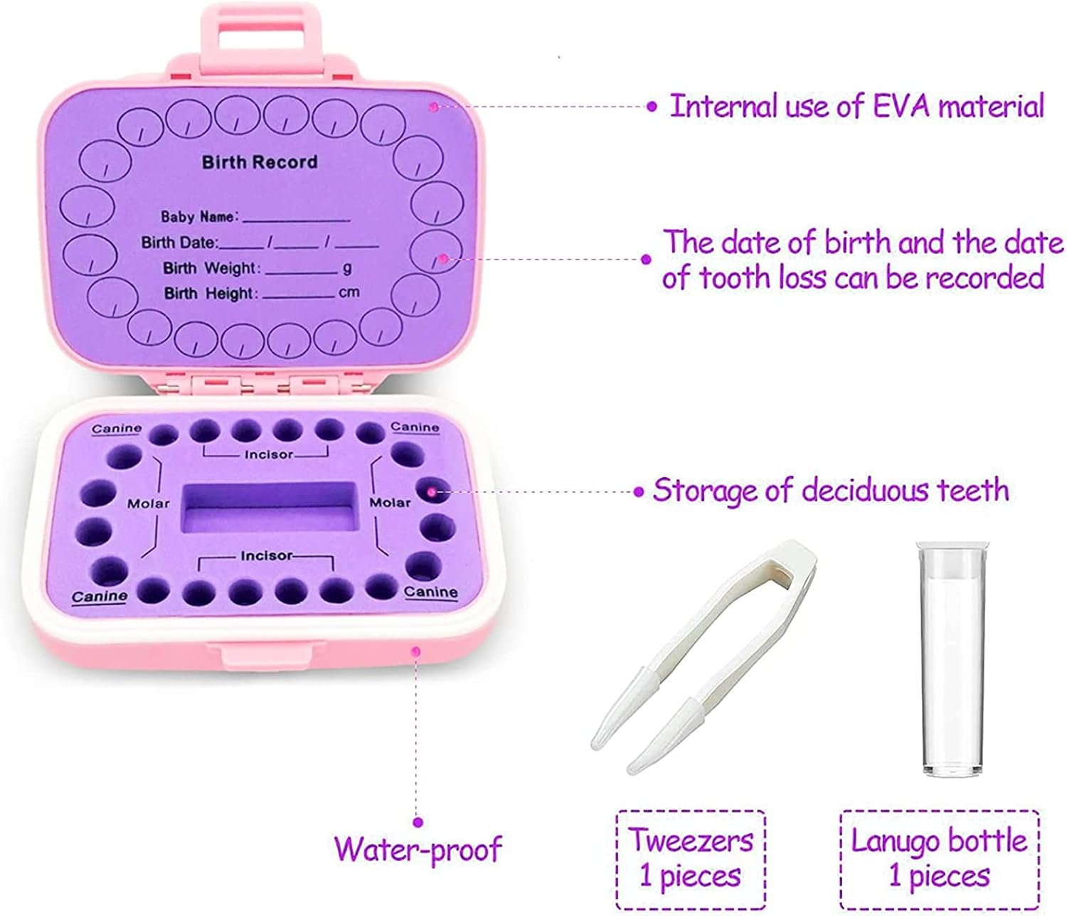 Baby Teeth Keepsake Box - Kids Teeth Holder with Fetal Hair Container and Tweezer (Pink) image number 2