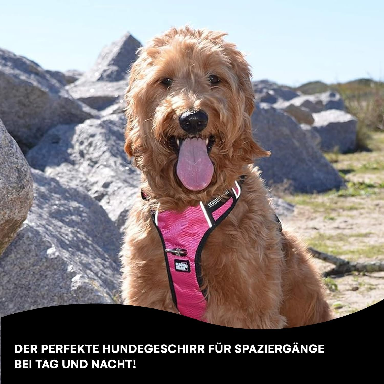 Black Rhino - the Comfort Dog Harness with Mesh Padded Vest for Small - Large Breeds | Adjustable | Reflective | 2 Leash Attachments on Chest & Back - Neoprene Padded Training Handle (Medium, Pink/Bl) image number 6