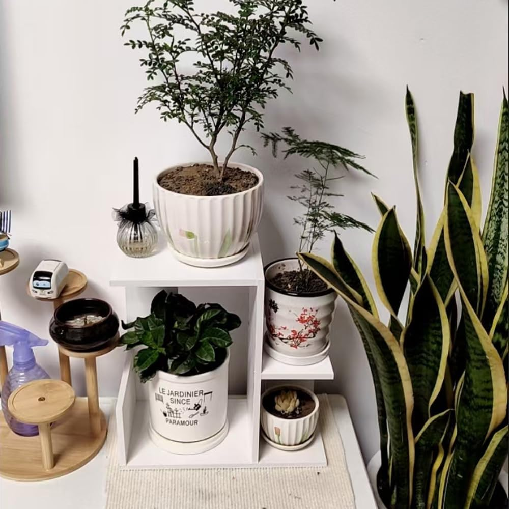 Hbluefat Small Desktop Shelf Organizer, Mini Wood Bookshelf Storage Rack, Multi-Functional Countertop Display Bookcase for Home Office School (White) image number 3