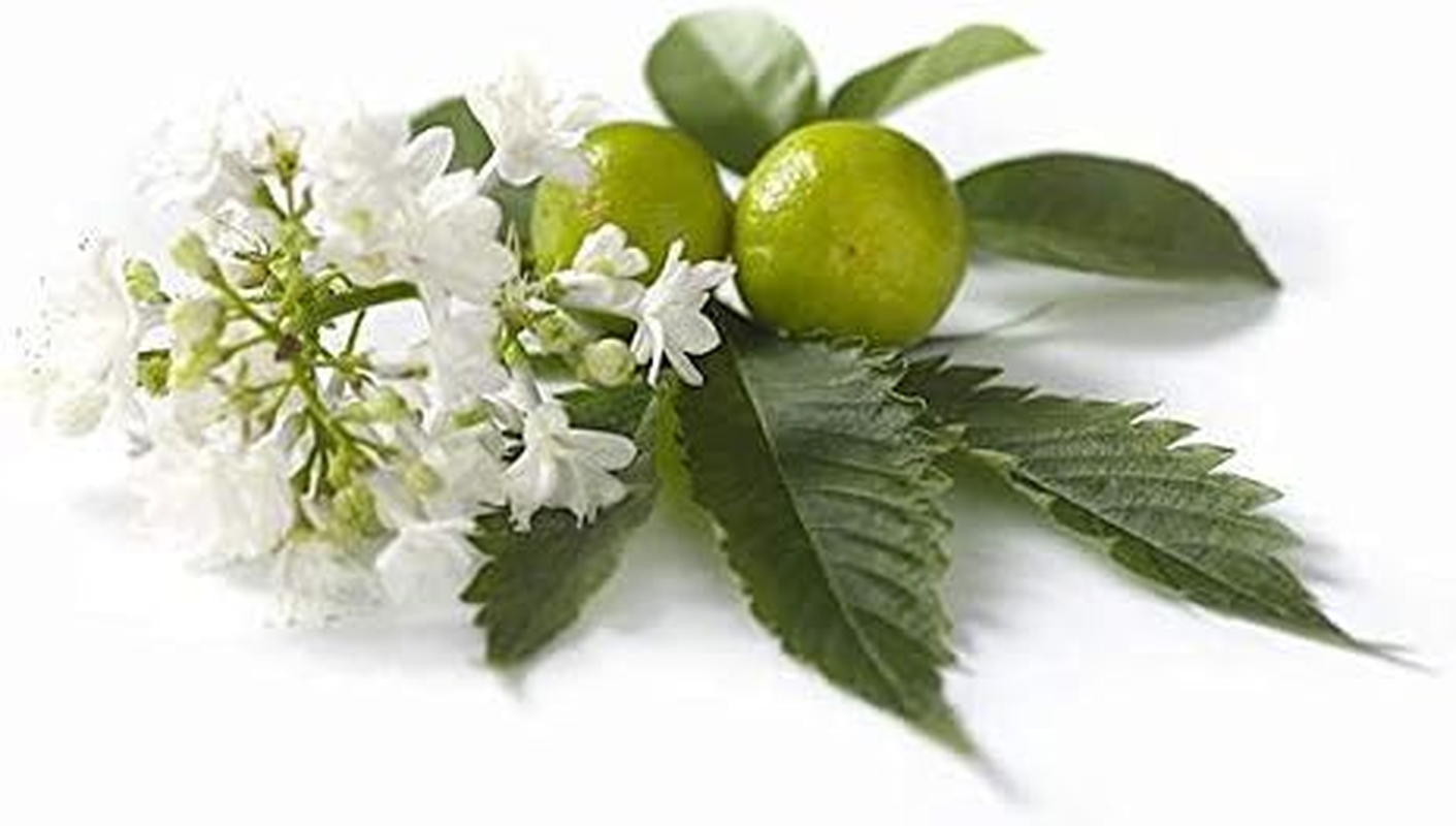 Patchouli Essential Oil