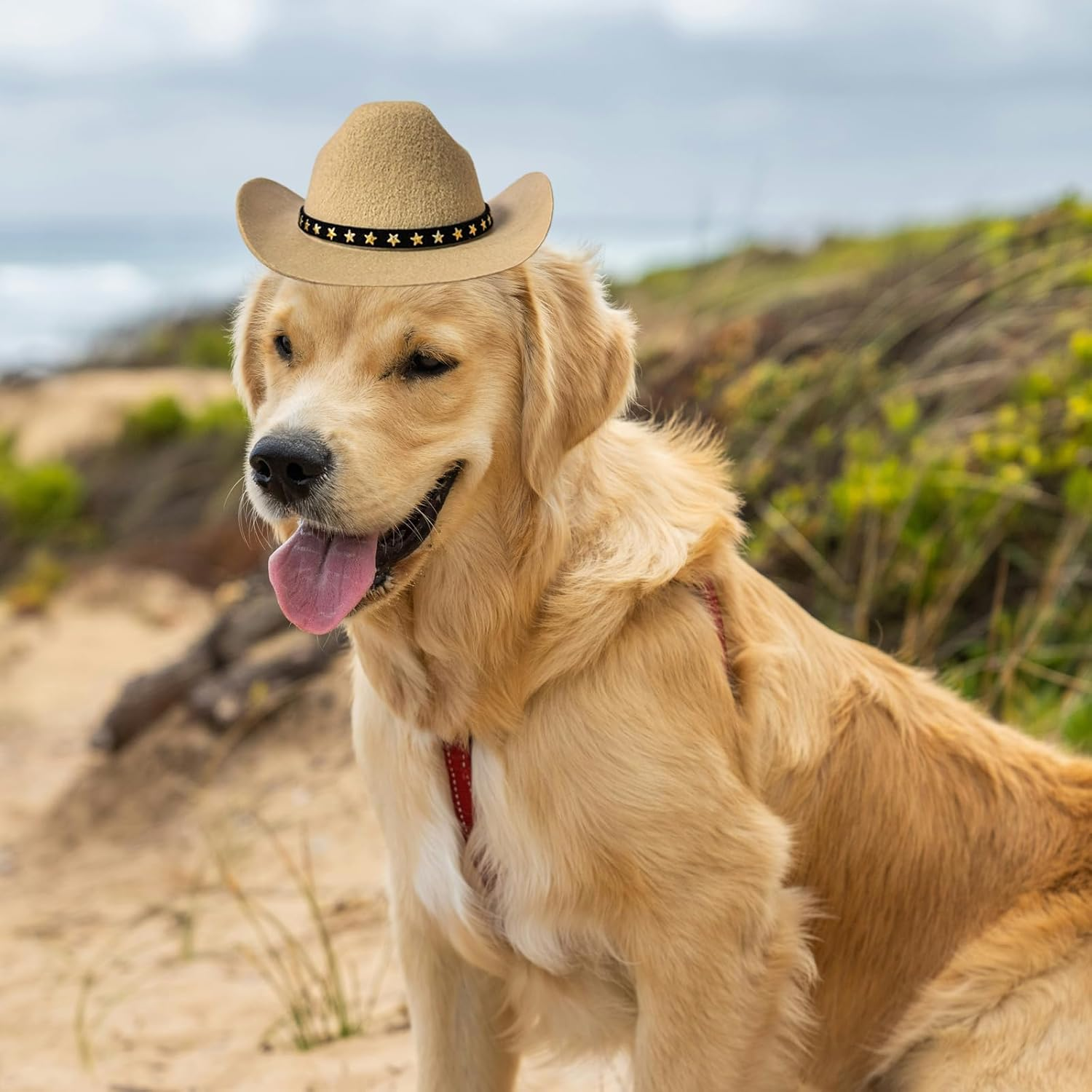 Dog Cowboy Hat Cat Cowboy Hat Mini Cowboy Hat for Dogs Cat Pet Cowboy Costume with Bandana Scarf Holiday Halloween Pet Party Decoration (Khaki, Large) image number 2