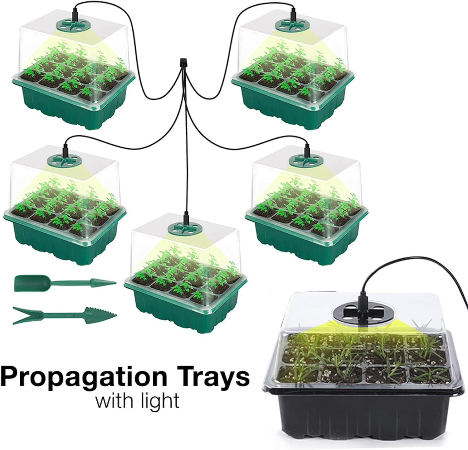 5 Pack Seed Starter Tray with Grow Light Humidity Domes, 60 Cell Trays Germination Station Cloning Kit (Green) - Green image number 3