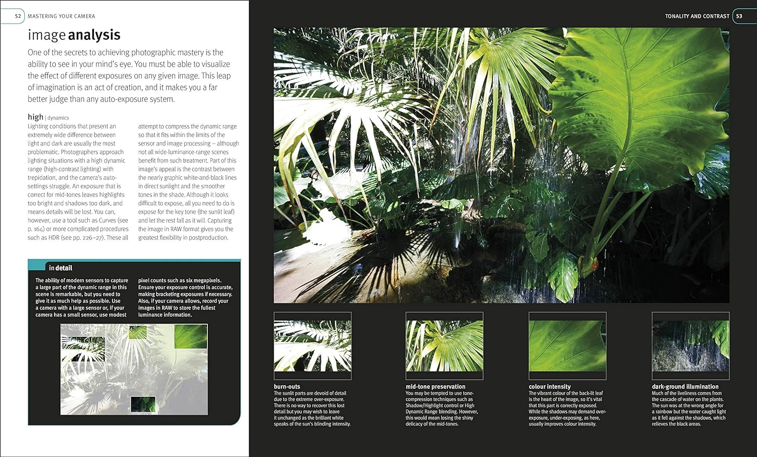 Digital Photography Masterclass: Advanced Techniques for Creating Perfect Pictures image number 6