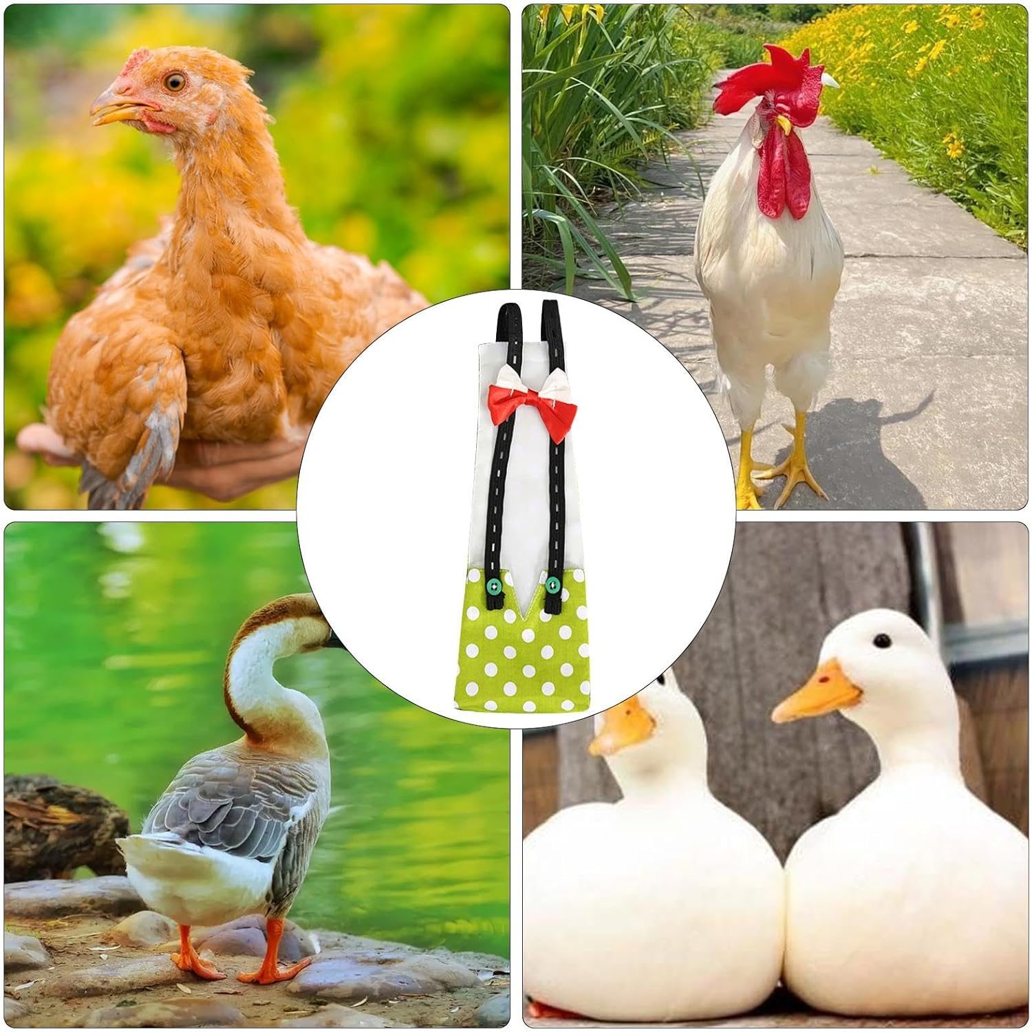 Chicken Diapers - Pet Chicken Diaper | Washable Pet Chicken Diapers, Adjustable Duckling Diapers Clothes with Bow Tie for Poultry - Pineapple image number 5