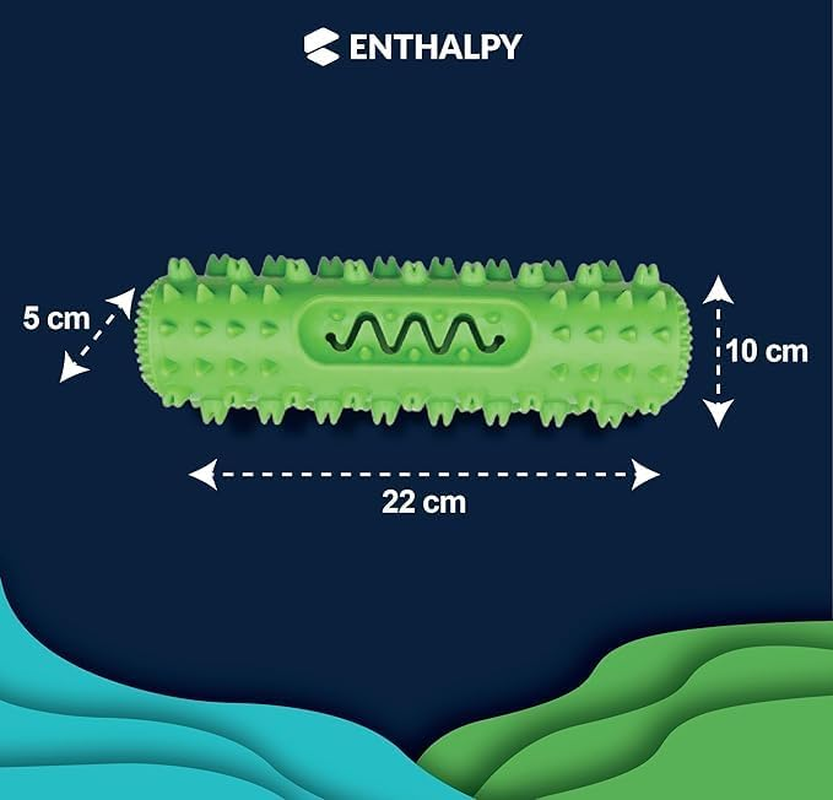 Durable Dog Chew Toy,Indestructible Bone for Aggressive Chewers,Promotes Dental Health and Teething Relief,Puppy Teething Bone Toy(Green)