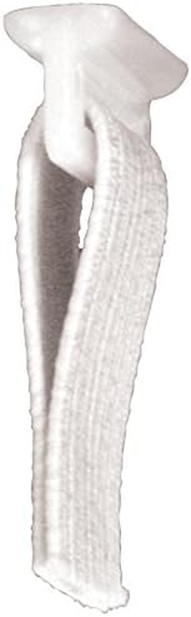 JR Products 81275 Elastic Sew-In Curtain Carrier - Type C