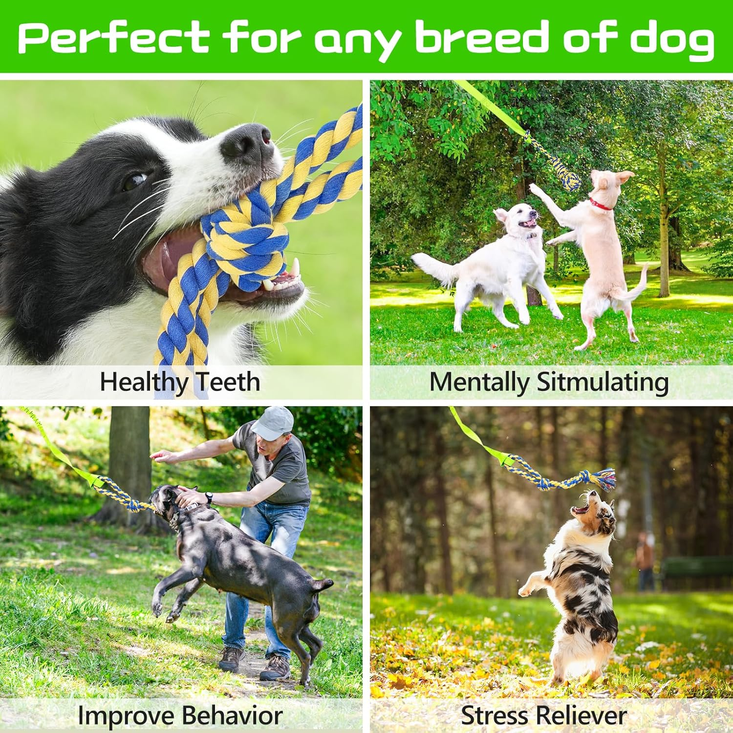 Xiaz Tug of War Dog Toy, Interactive Dogs Toy Bungee Hanging Tether with 2 Chew Rope Toys, Heavy Duty Puppy Outdoor Activity Aggressive Chewers Best Small to Large Boredom Exercise and Play (Green) - Green image number 6