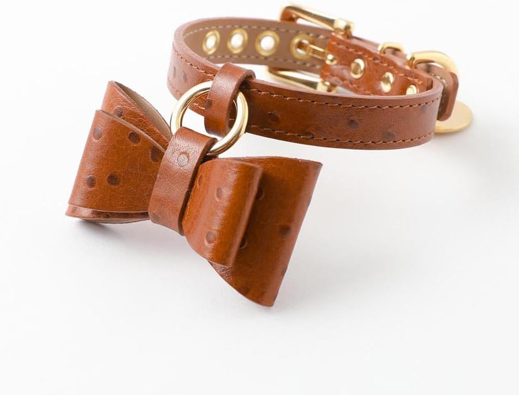 Moncheri Moncheri Dog Collar, Austrian Leather Ribbon Pendant Collar/Camel/M, Cute, Fashionable, Popular, Brand, Toy Poodle, Chihuahua, Small Dogs, Medium Dogs