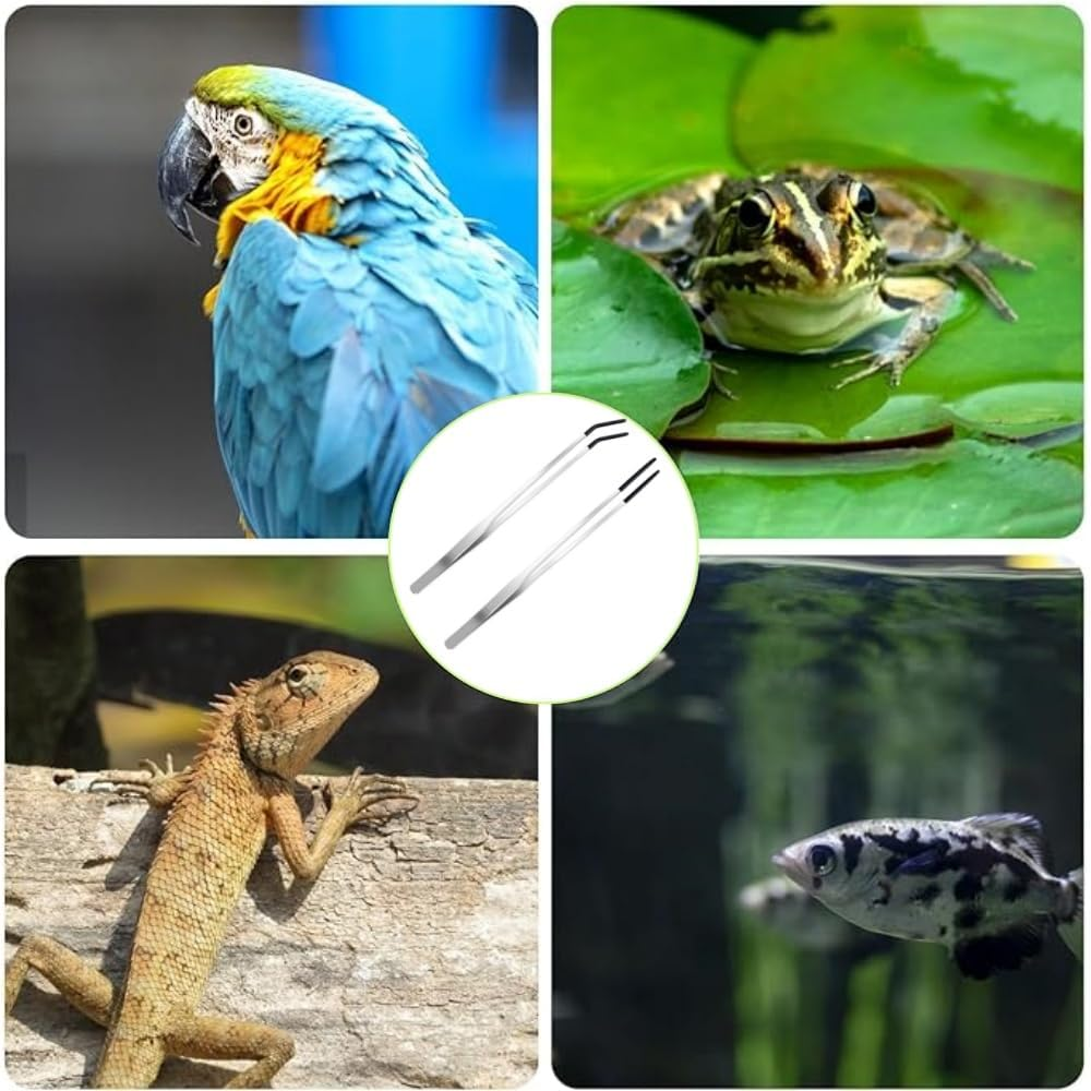 2 Pcs Reptile Feeding Tongs,Worms Tongs,27Cm/10.6" Straight and Curved Tweezers for Aquarium,Aquascape Tools, Stainless Steel Feeder Tools for Hold Bearded Dragon Lizards Reptiles image number 2