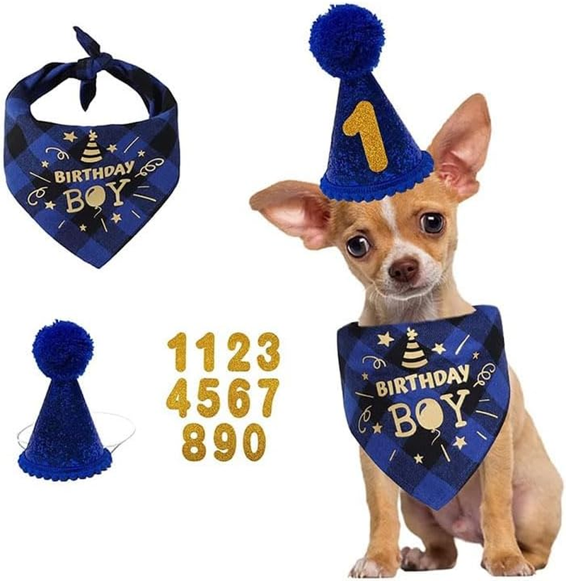 Pet Birthday Decoration Set, Dog Party Hat, Drool Towel, Number Decorations