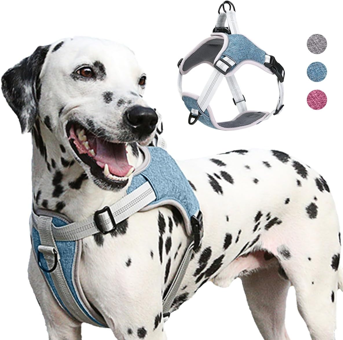 Agoumlux Dog Harness Anti-Pull Harness Adjustable Reflective Chest Harness for Large Medium Small Dogs, Blue, S