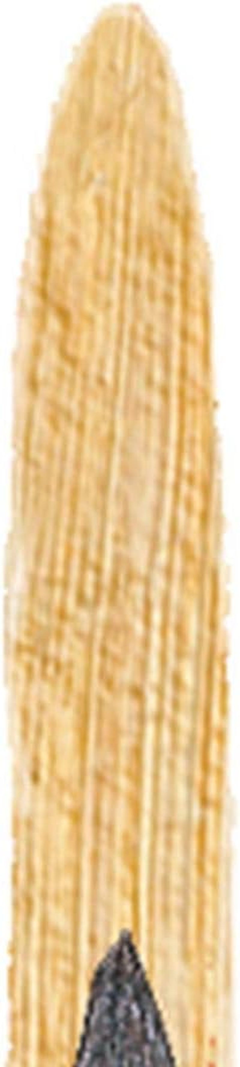 Winsor & Newton Monarch round Long Handle Brush, Size 4