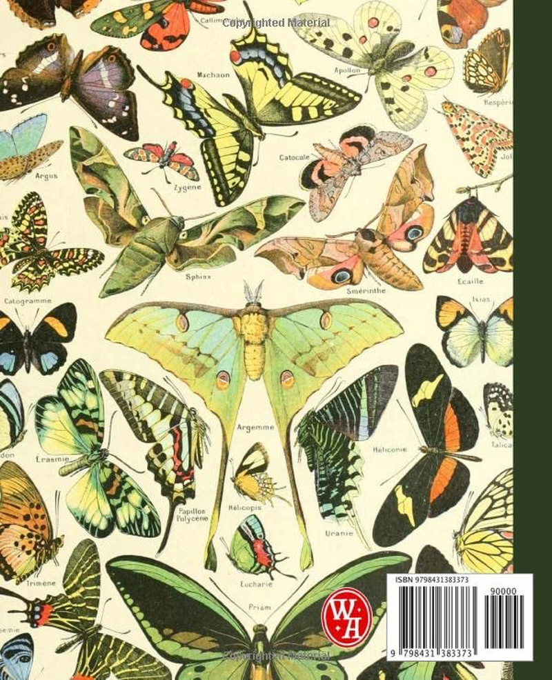 Composition Notebook College Ruled: Luna Moth Butterfly Vintage Botanical Illustration | Cute Aesthetic Journal for Girls, Teens, Women | Wide Lined image number 1