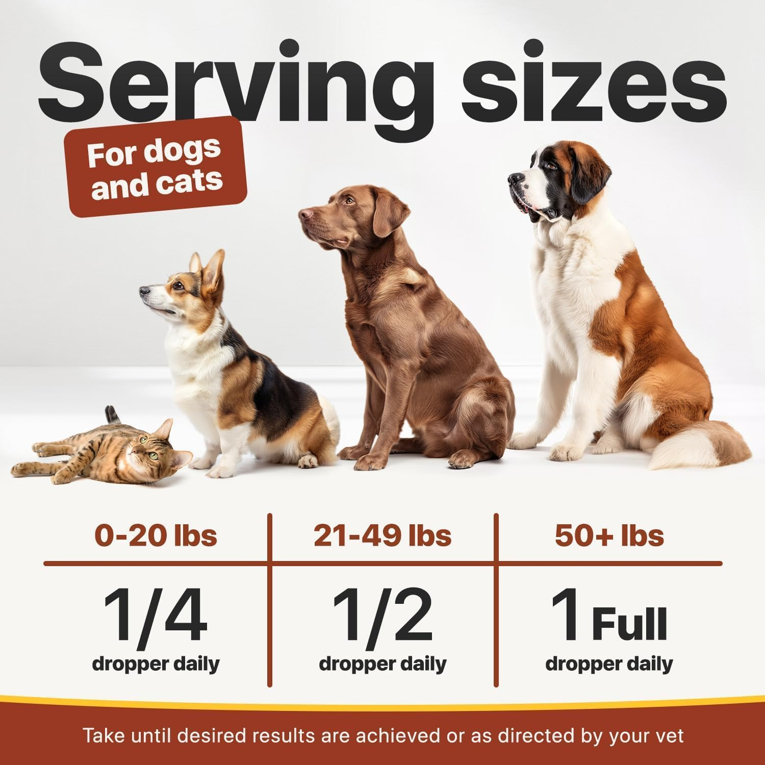 Charlie Buddy - Oil for Dogs Cats - Hip and Joint Support and Skin Health - Anxiety, Calm, Pain - Omega 3, 6, 9 and Vitamins B, C, E image number 5