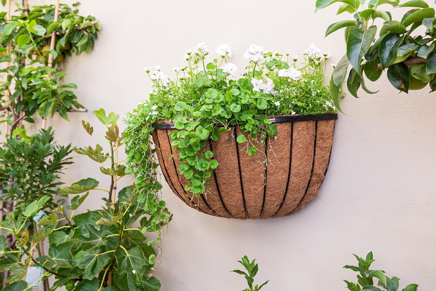 Takasho Wall Basket with Liner Cathedral, 76 Length &times; 38 Cm Width &times; 38 Cm Height, Black