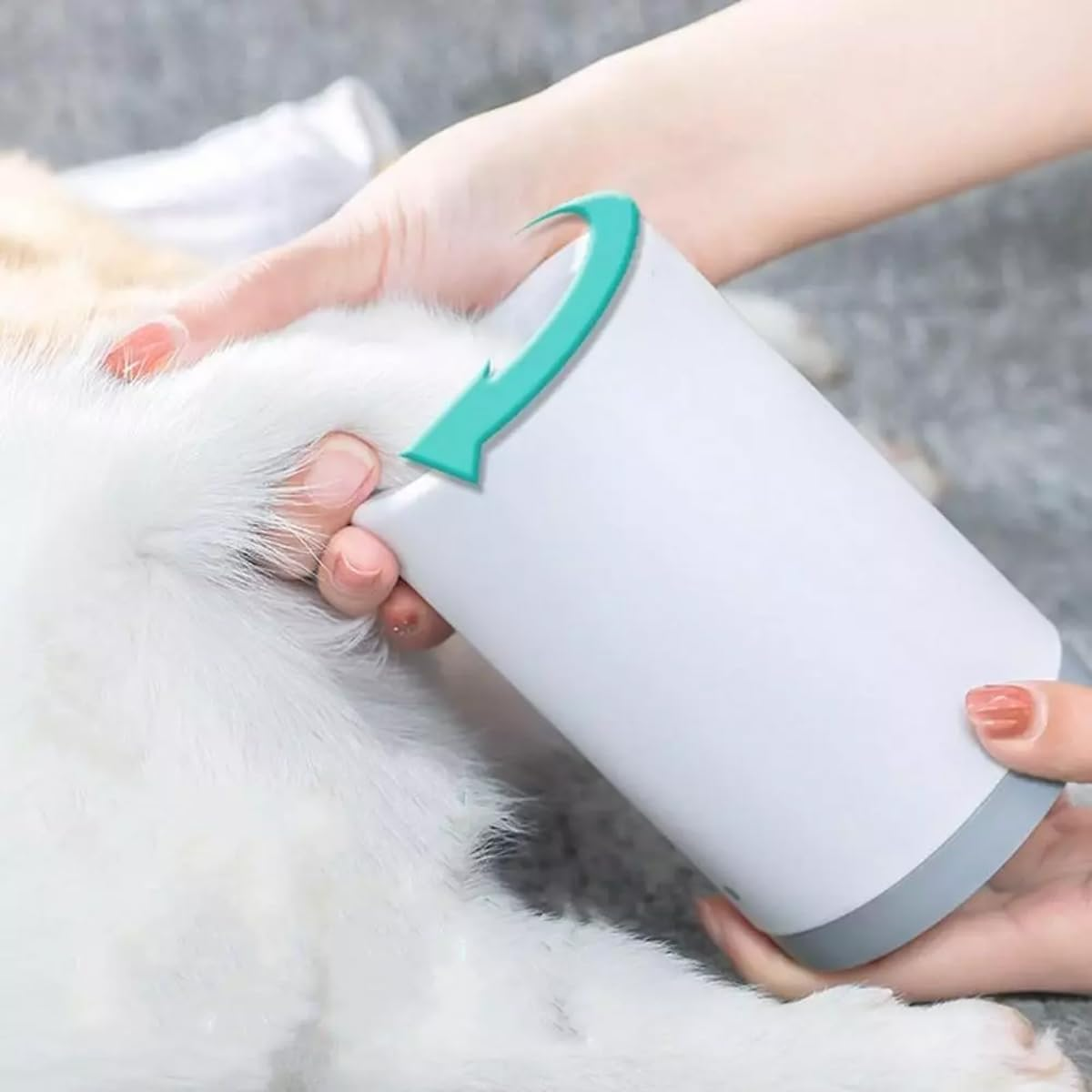 AIMALL Pet Foot Washing Cup - Automatic 360-Degree Cleaning for Koji, Golden Hair, Teddy Cats - Portable Pet Paw Cleaning Cup with Soft Silicone Brush, 5.86X3.77 Inches image number 5