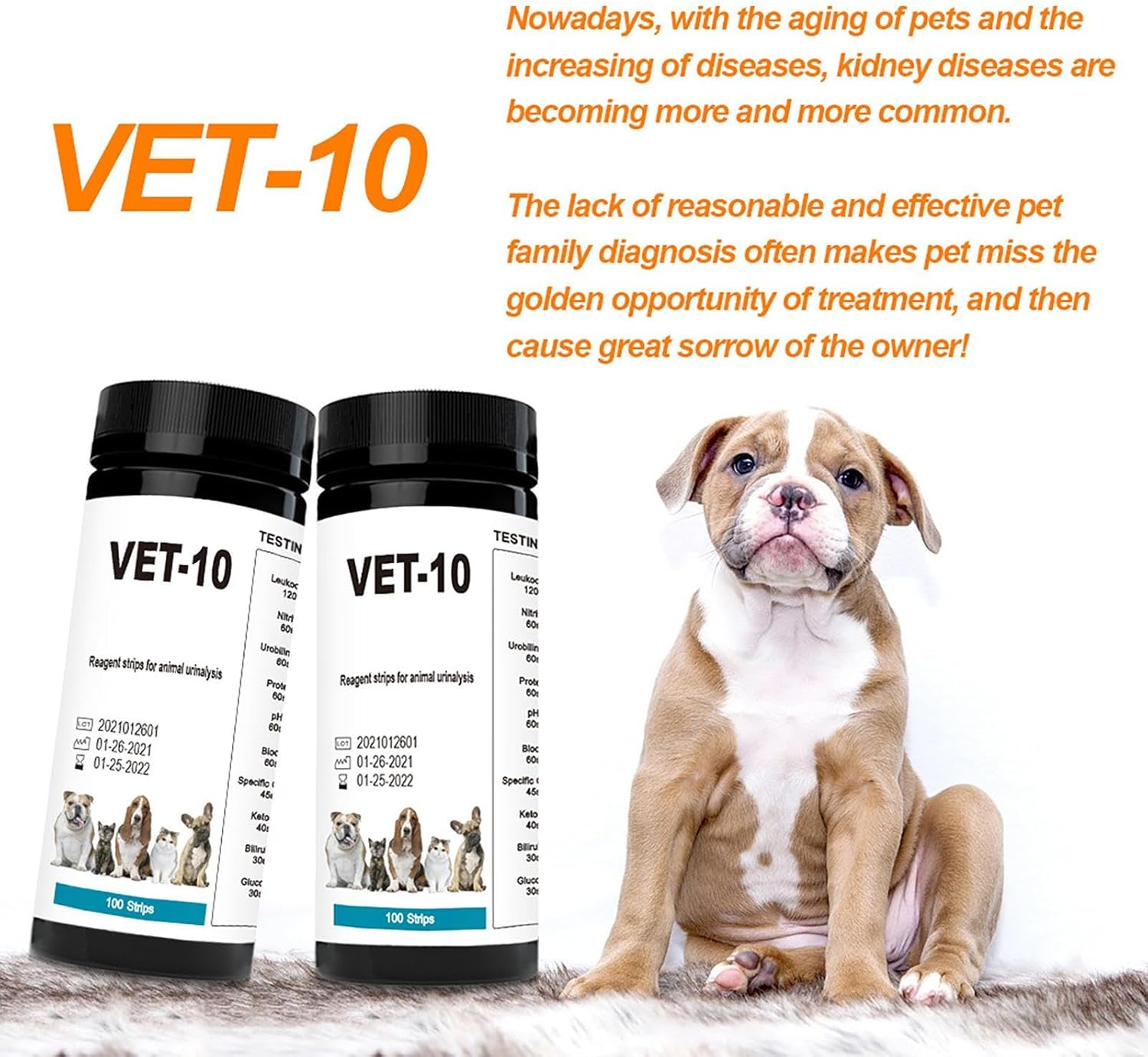 Pet Urine Test Strips - 100Pcs Accurate Kit, 10 Parameter Detection Design | Quick Diagnostic Tool for Cat Dog Rabbitt Puppy Kitten Vet Clinic Home Health Monitoring Veterinary Laboratory image number 4