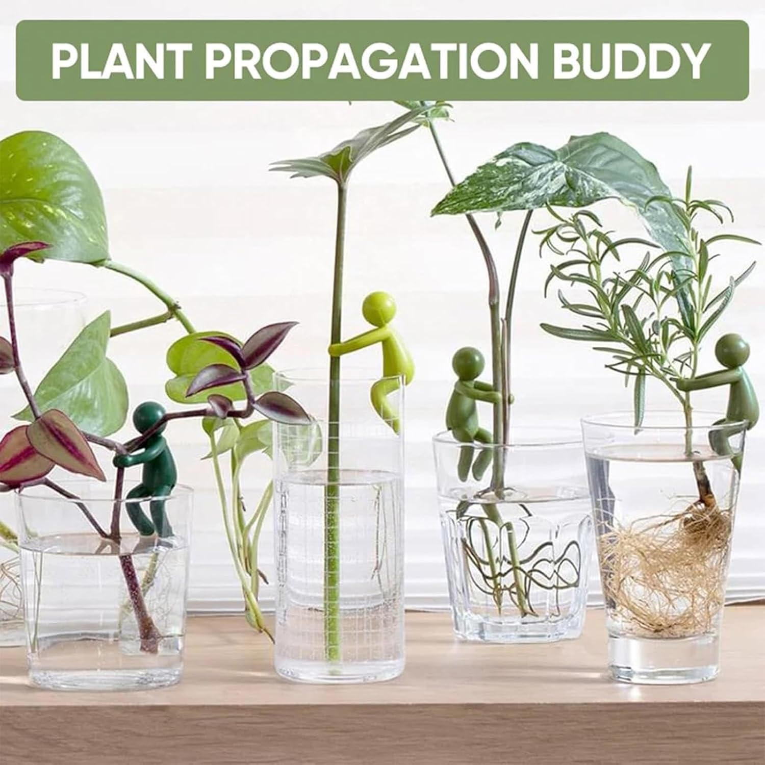Augous 3Pcs Plant Propagation Buddy, Plant Support for Sprouts, Stems, Shoots, and Cuttings, Plant Supports for a Plant Propagation Station or an Indoor Garden, Plant Lover Gifts image number 3