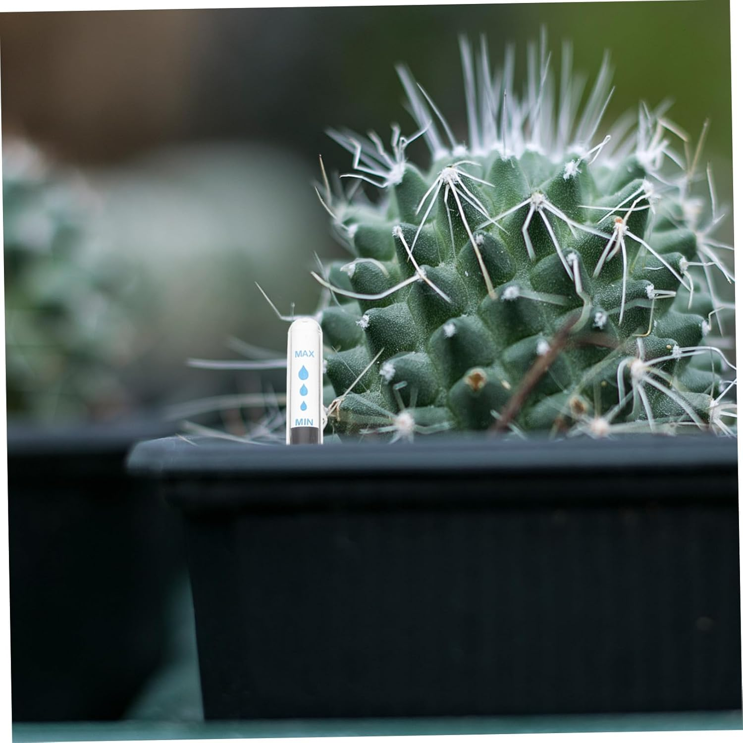 Ibasenice 4Pcs Water Level Indicators for Flowerpots Water Gauge with Removable Assembly for Houseplants and Potted Plants image number 5