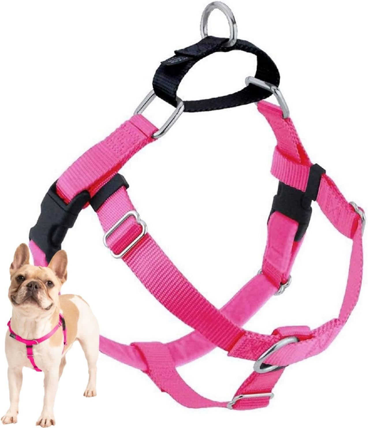 2 Hounds Design Freedom No Pull Dog Harness, Adjustable Harness, Easy Walking & Comfortable Control, Fits Small, Medium & Large Dogs, Solid Colors, Made in USA, 1" XL, Royal Blue