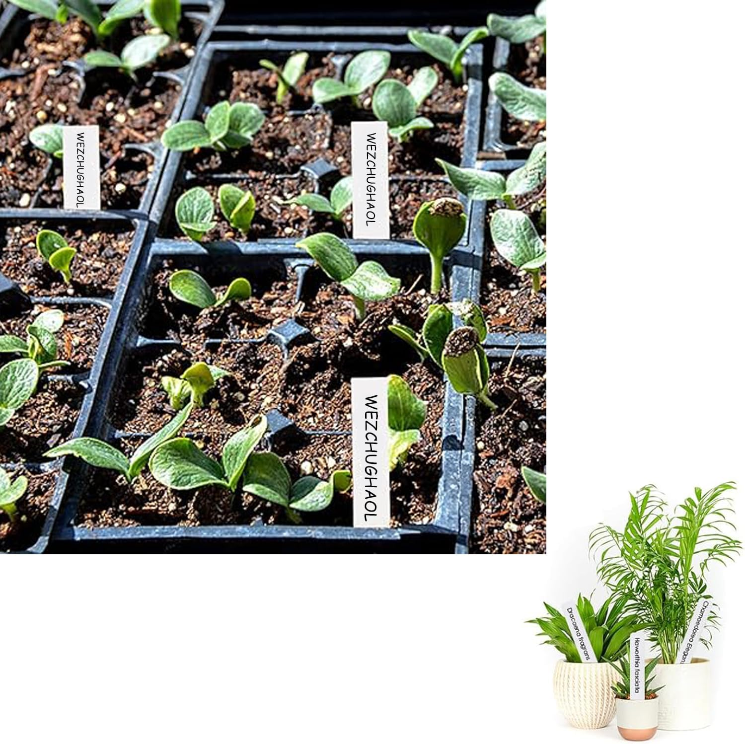 WEZCHUGHAOL 300PCS Waterproof Outdoor Garden Markers, Plastic Plant Tags for Nursery Seeds & Plants with Bonus Permanent Marking Pen &ndash; Durable Plant Labels for Gardening image number 5
