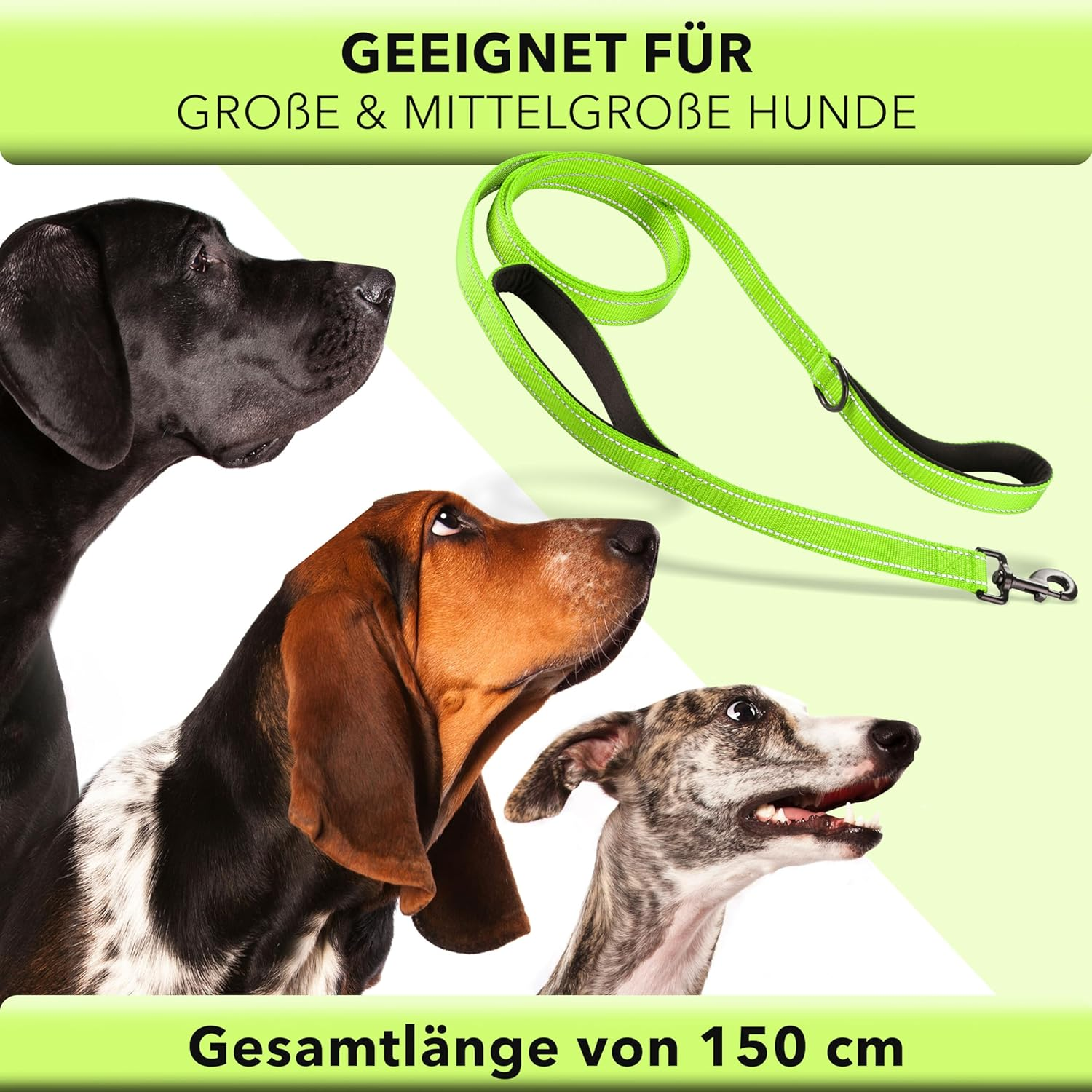 AVANA Reflective Dog Lead with Integrated Short Lead, 2 Hand-Friendly Padded Hand Loops, 1.5 M Long Reflector Nylon Lead for Large and Medium Dogs, Neon Green - Neon Green image number 3