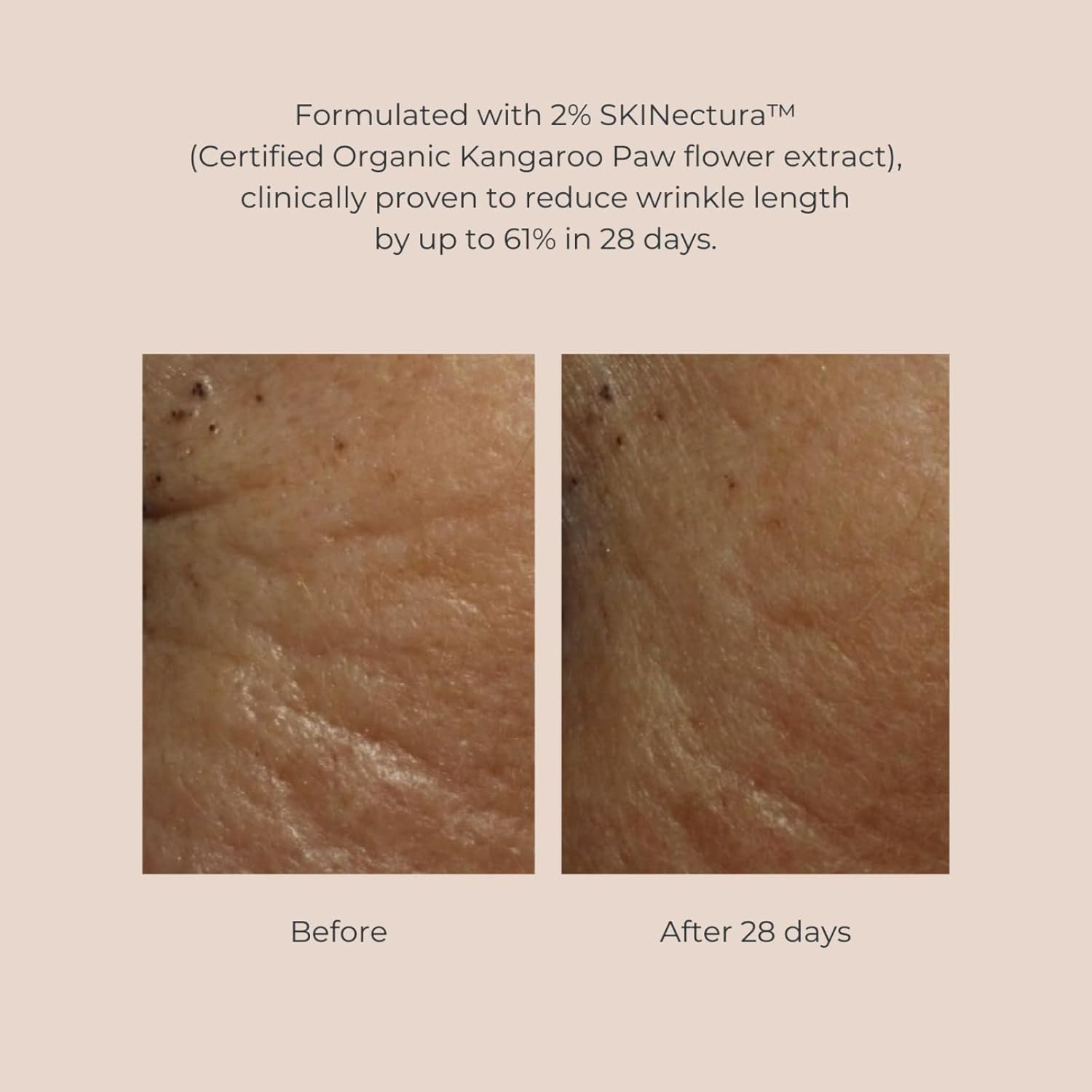 INIKA Organic Pure Perfection Primer | Smooth Dewy Finish. Clinically Proven to Boost Hydration + Reduce Wrinkles. Skincare Enriched. Extend Makeup & Create a Flawless Base. 30Ml image number 4