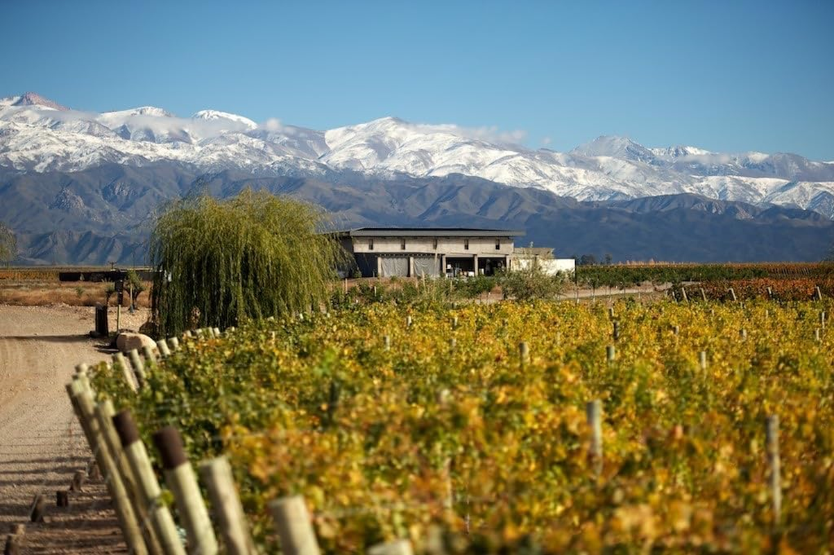 2016 Aluvi&oacute;n Vineyards Malbec Wine "Forjado" from the Uco Valley, Mendoza, Argentina image number 2