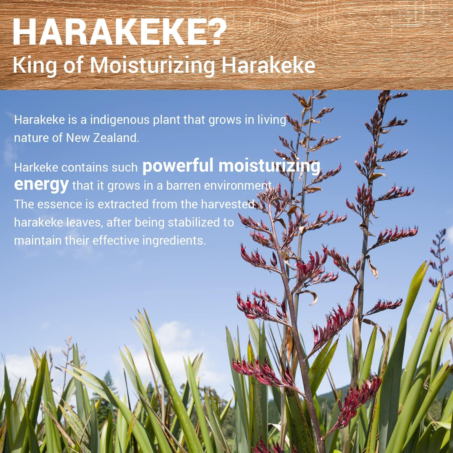 [The SAEM] Urban Eco Harakeke Root (Toner 180Ml)