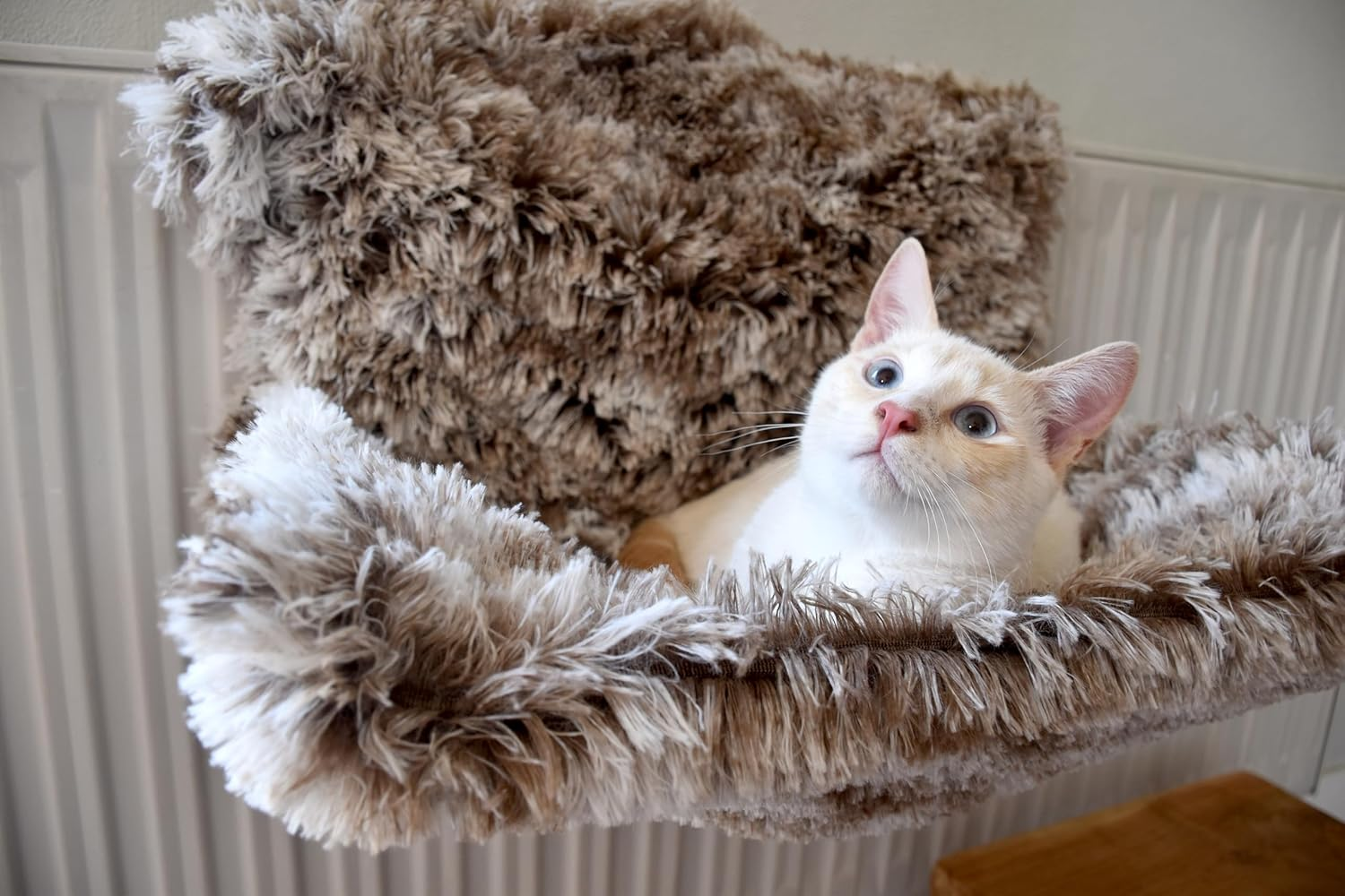 Bobby Poilu Cat Radiator Cave Soft with Hook, Beige, 47 X 30 X 25 Cm - Beige image number 4