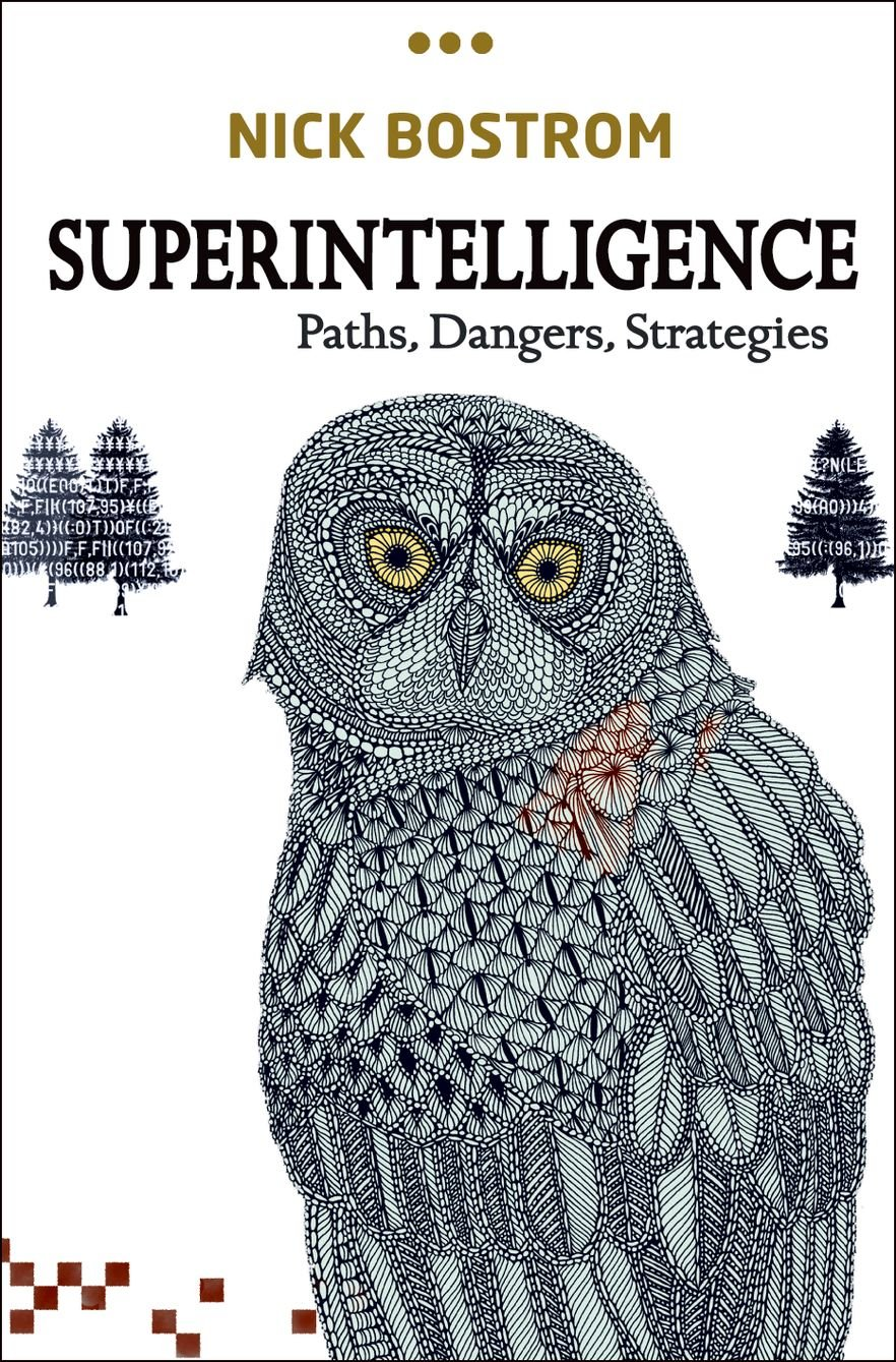 Superintelligence: Paths, Dangers, Strategies image number 1