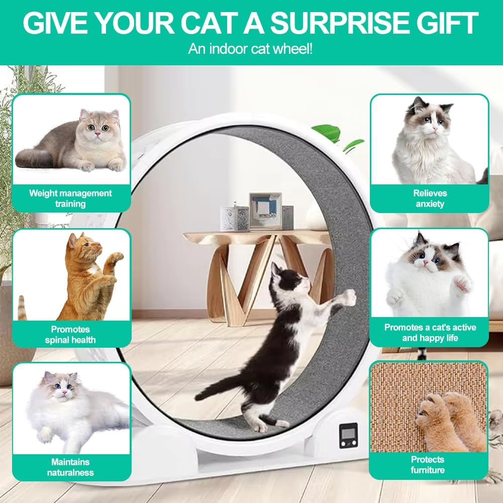 CHAOFLIGHT Cat Exercise Wheel,Pet Treadmill Running Wheel with Pedometer 41'' Large Cat Wheel with Carpeted Runway & TPE Silent Roller for Running/Walking/Training, Suitable for Most Cats